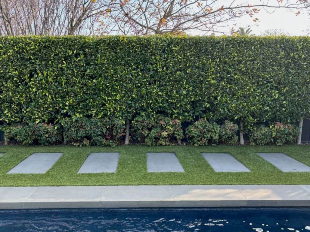 Artificial Grass Cleaners Australia - Pool Lawns