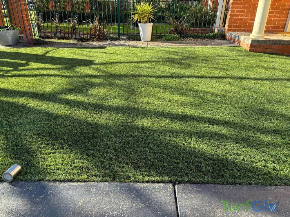 Turfglo Artificial Grass Cleaners - Australia - 10 After