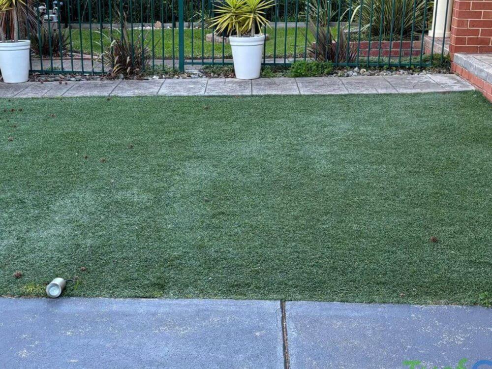 Turfglo Artificial Grass Cleaners - Australia - 10 Before