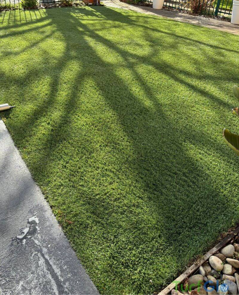 Turfglo Artificial Grass Cleaners - Australia - 3 After