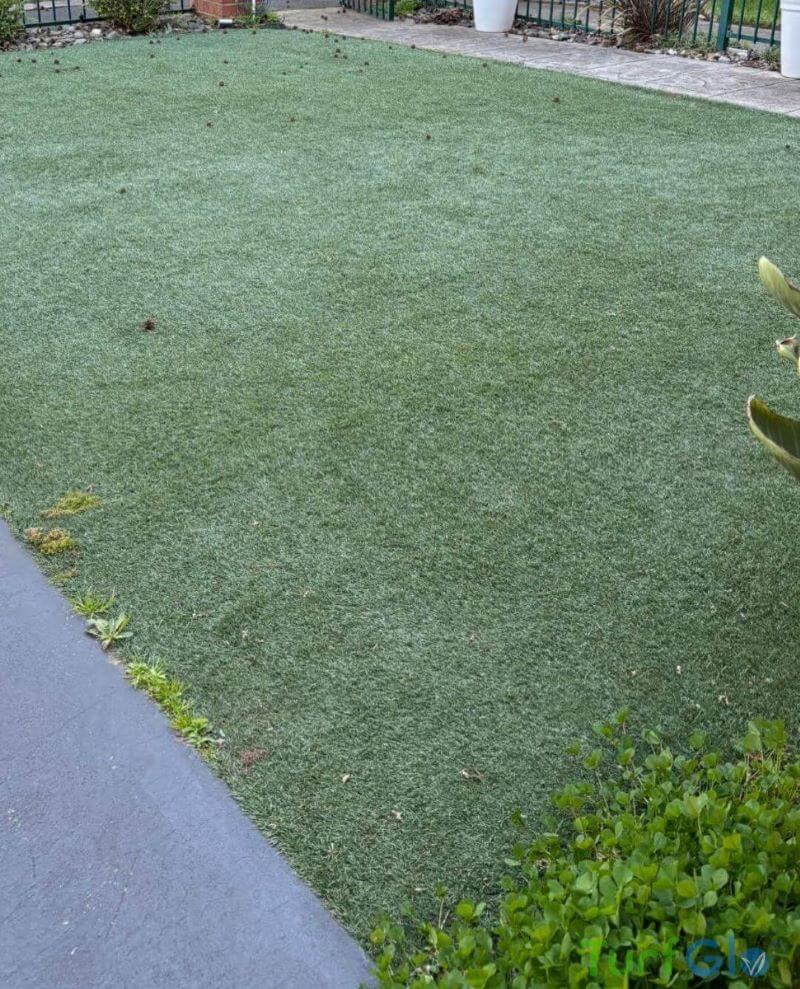 Turfglo Artificial Grass Cleaners - Australia - 3 Before