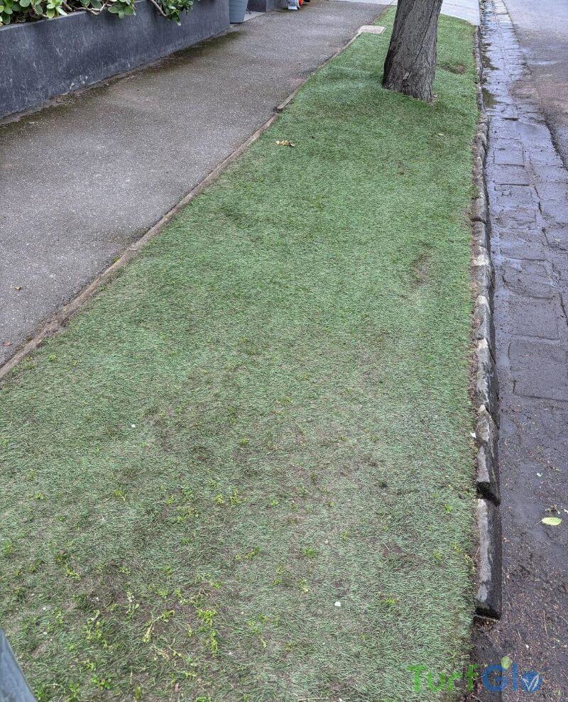 Turfglo Artificial Grass Cleaners - Australia - 5 After